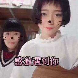 人爱c视频正国产,揭秘正国现象背后的文化魅力 第2张 人爱c视频正国产,揭秘正国现象背后的文化魅力 第2张