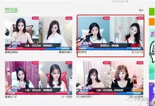 国产主播三级,揭秘我国网络直播行业的崛起与挑战  第2张