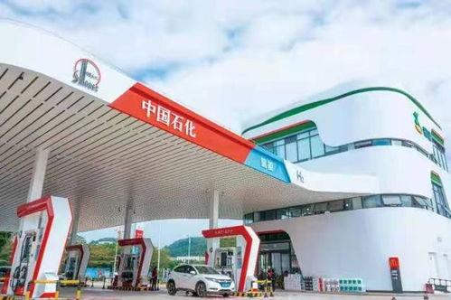 国产资源站,汇聚海量优质资源，助力创新发展  第1张