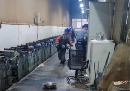 国产看片基地,揭秘看片基地的精彩世界  第2张